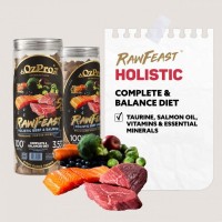 RawFeast Holistic Beef 100g